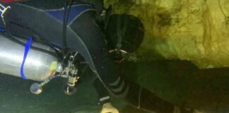 Hallan fósil humano de más de 8 mil años de antigüedad, debajo de Tren Maya